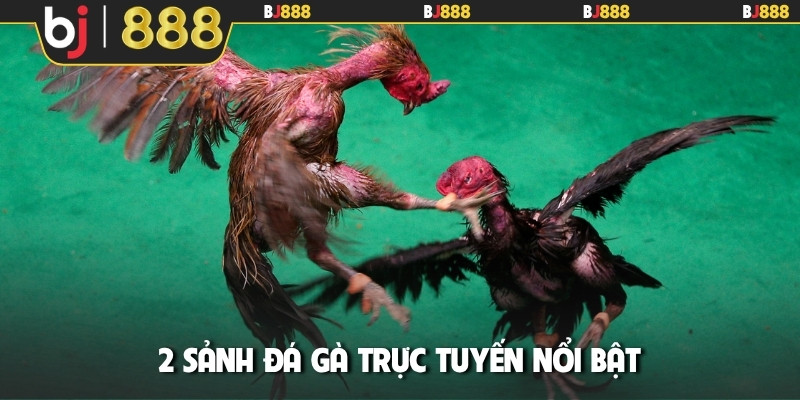 2 sảnh đá gà trực tuyến nổi bật