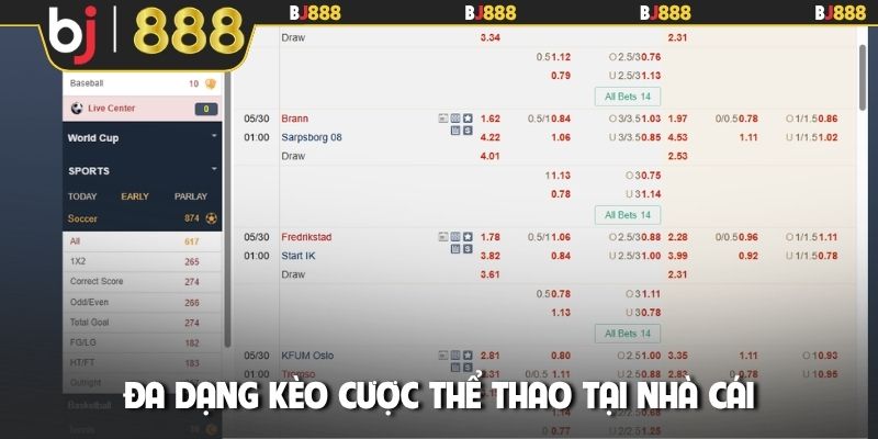 Đa dạng kèo cược thể thao tại nhà cái