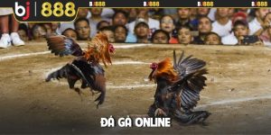 Đá gà online