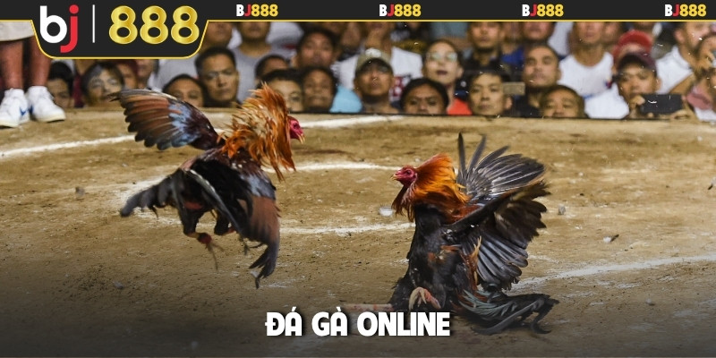 Đá gà online