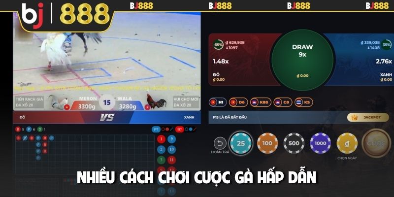 Nhiều cách chơi cược gà hấp dẫn
