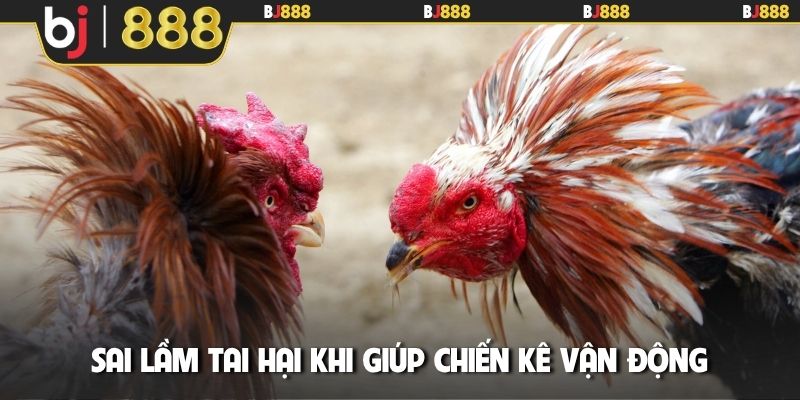 Sai lầm tai hại khi giúp chiến kê vận động