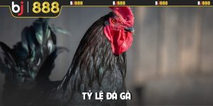 Tỷ lệ đá gà