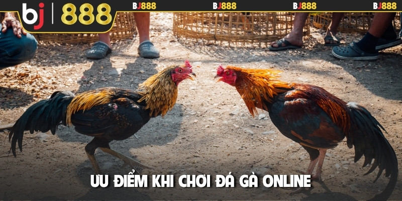Ưu điểm khi chơi đá gà online