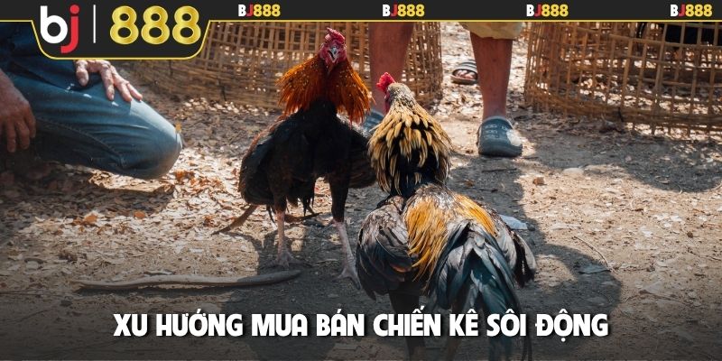 Xu hướng mua bán chiến kê sôi động